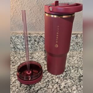 HydroJug Deep Red Insulated Bottle with Straw